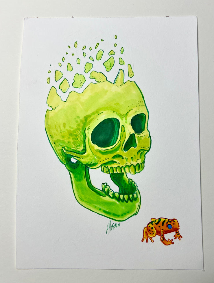 Skull & Frog Drawing