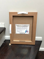 Framed Daydreamer II