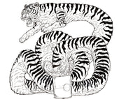 Framed Pen Drawing Tiger Soup
